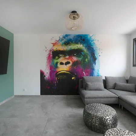 Strasbourg - Gorille - Prive, Sauna, Borne D'arcade, Babyfoot Willa *