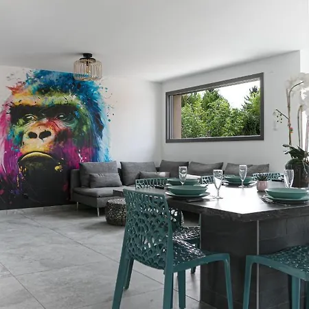 Strasbourg - Gorille - Prive, Sauna, Borne D'arcade, Babyfoot *