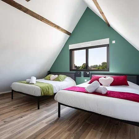 Strasbourg - Gorille - Prive, Sauna, Borne D'arcade, Babyfoot Willa *