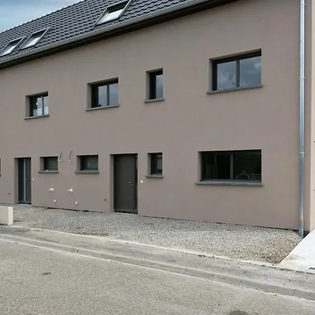 Strasbourg - Gorille - Prive, Sauna, Borne D'arcade, Babyfoot Willa *