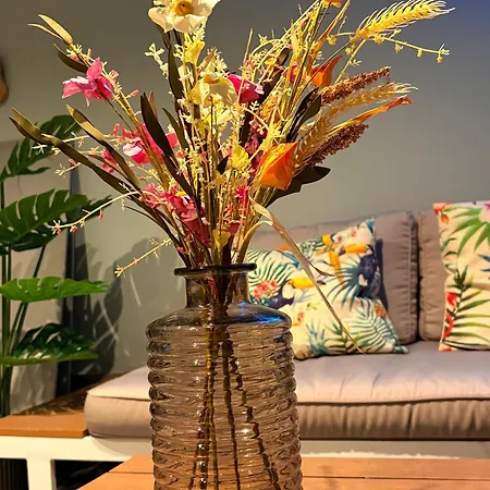 Strasbourg - Gorille - Prive, Sauna, Borne D'arcade, Babyfoot Willa Ittenheim