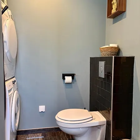 Villa Spa Strasbourg - Gorille - Spa Prive, Sauna, Borne D'arcade, Babyfoot