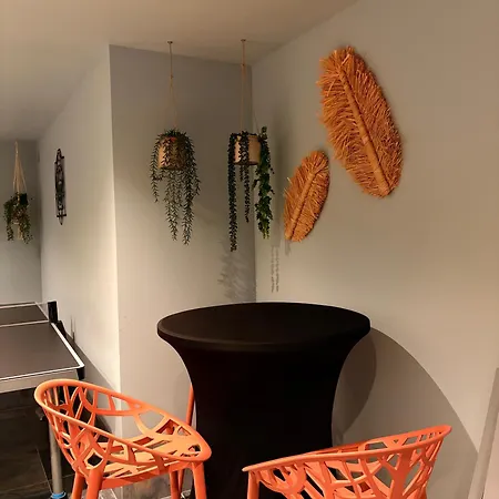 Villa Spa Strasbourg - Gorille - Spa Prive, Sauna, Borne D'arcade, Babyfoot *