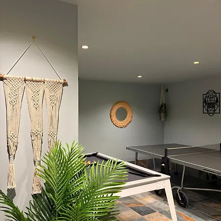 Strasbourg - Gorille - Prive, Sauna, Borne D'arcade, Babyfoot * Ittenheim