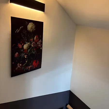 Strasbourg - Gorille - Prive, Sauna, Borne D'arcade, Babyfoot