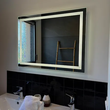 Strasbourg - Gorille - Prive, Sauna, Borne D'arcade, Babyfoot Willa