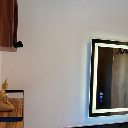 Strasbourg - Gorille - Prive, Sauna, Borne D'arcade, Babyfoot * Ittenheim