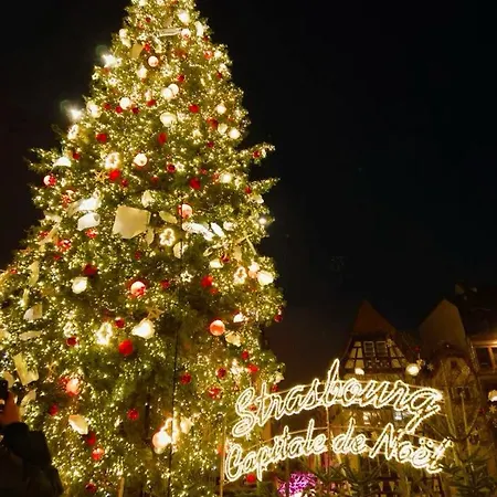 Strasbourg - Gorille - Prive, Sauna, Borne D'arcade, Babyfoot Willa *