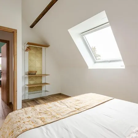 Strasbourg - Gorille - Prive, Sauna, Borne D'arcade, Babyfoot Ittenheim