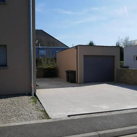 Gorille - Piscine I Jacuzzi Chauffee I Billard I 12 Min Strasbourg Villa *