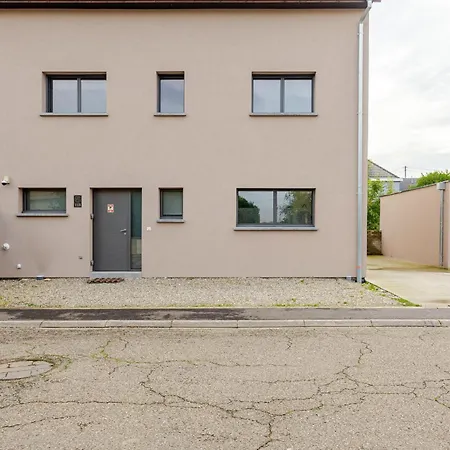 Gorille - Piscine I Jacuzzi Chauffee I Billard I 12 Min Strasbourg Villa *