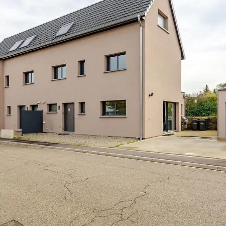 Villa Gorille - Piscine I Jacuzzi Chauffee I Billard I 12 Min Strasbourg Ittenheim